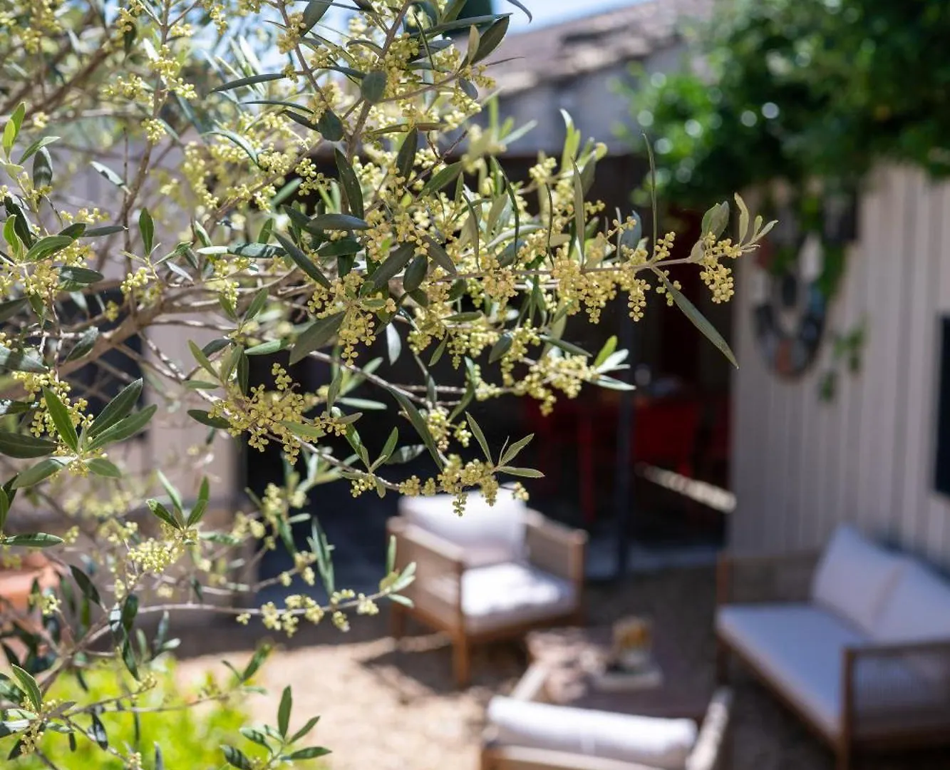 Maison avec patio et jacuzzi Saint-Rémy-de-Provence